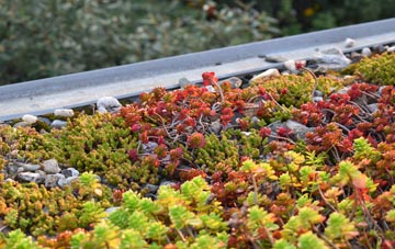 the cost of Wivelsfield green roof installation