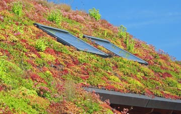 Wivelsfield living roof systems